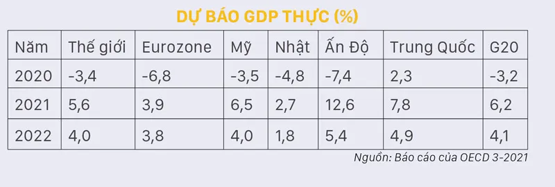 Thành sự tại… vaccine&nbsp; ảnh 2