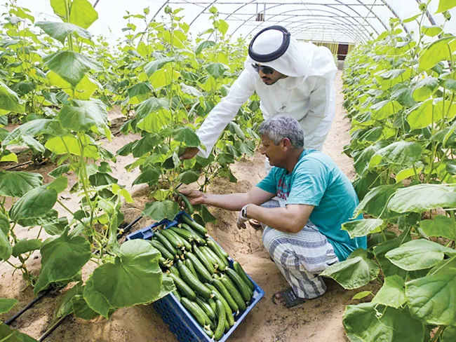 Nông thôn - đô thị: Người ta cố giữ, sao mình muốn bỏ! ảnh 2