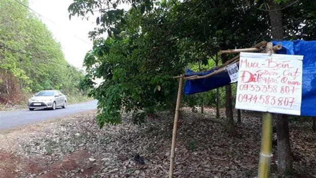 'Cat sot' bat dong san: Dat bi 'thoi gia,' lua bong tay ai? hinh anh 2