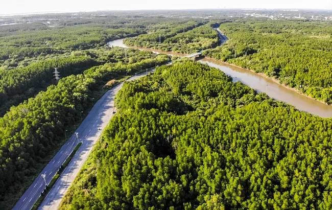 Cần tính toán khi TPHCM xoay trục ra biển ảnh 2