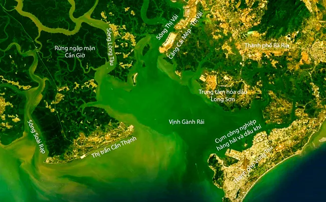 Phát triển Cần Giờ nhìn từ bối cảnh vùng ảnh 2