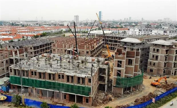 Hoan thien du bao nhu cau nha o xa hoi giai doan 2021-2030 hinh anh 2