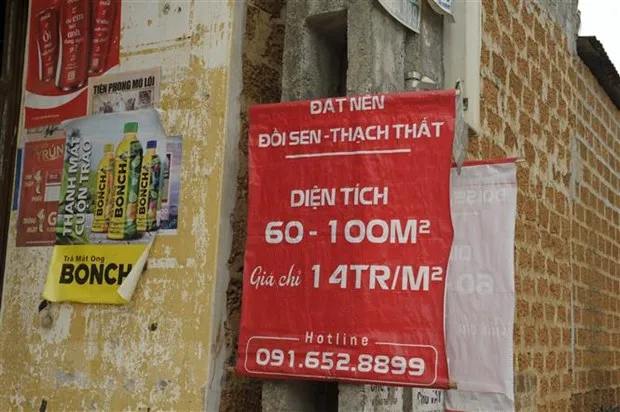 Ha Noi ngan chan 'day gia dat' de truc loi bat hop phap hinh anh 2