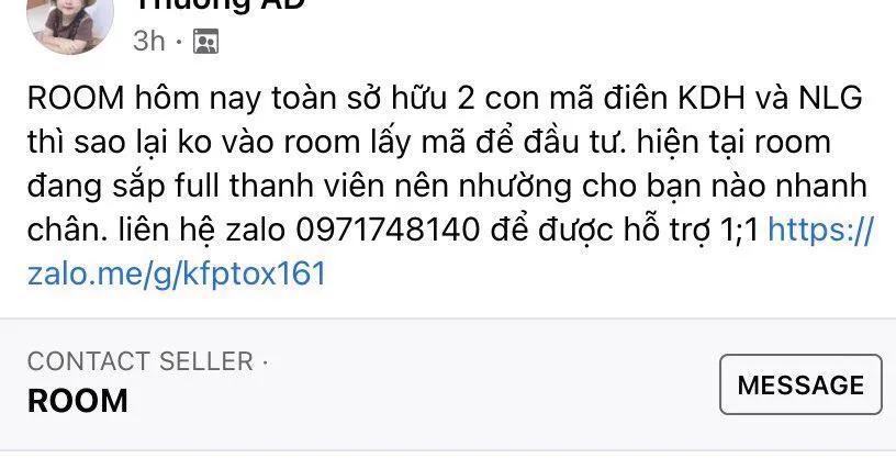 Nhà đầu tư F0 dễ sập bẫy 'room' phím hàng ảnh 1