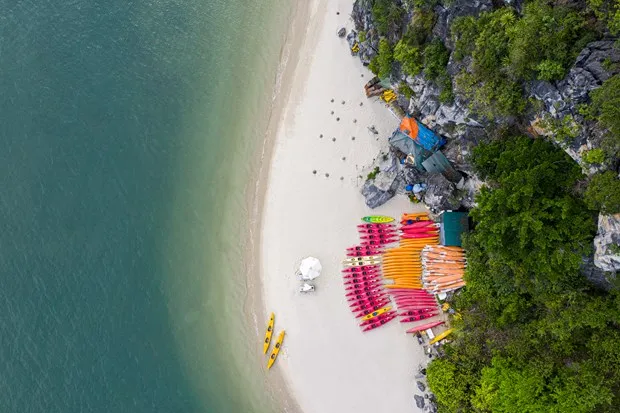 COVID-19 tai bung phat: Doanh nghiep du lich lam gi de khong guc nga? hinh anh 4