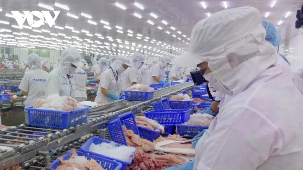 Các doanh nghiệp vùng ĐBSCL đã chú trọng đến thị trường nội địa, đồng thời phát triển thêm những thị trường xuất khẩu dựa trên những lợi thế.