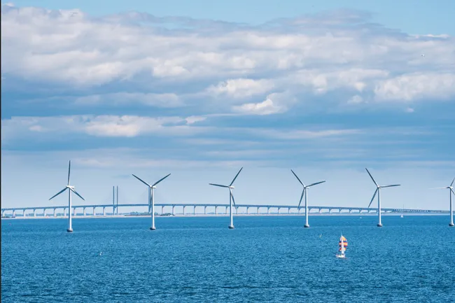 Đông Hải – Bạc Liêu sức hút từ tiềm năng kinh tế biển trọng điểm của ĐBSCL ảnh 1