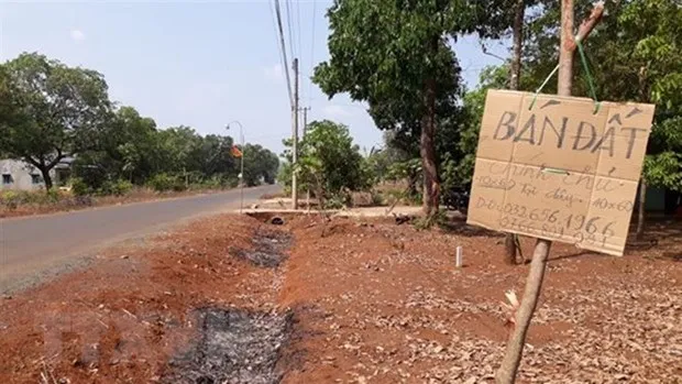 Thanh pho Ho Chi Minh se xu ly manh tay cac du an “ma” hinh anh 3