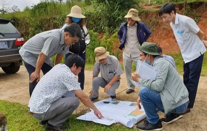 Bầu Đức trở lại với ngành gỗ sau hành trình dài 3 thập kỷ? ảnh 1