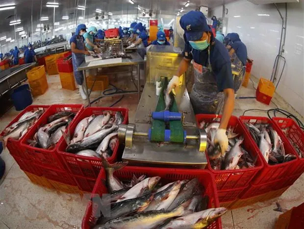 ''Thuy san phai giu vung su phat trien tren ca ba tru cot'' hinh anh 2