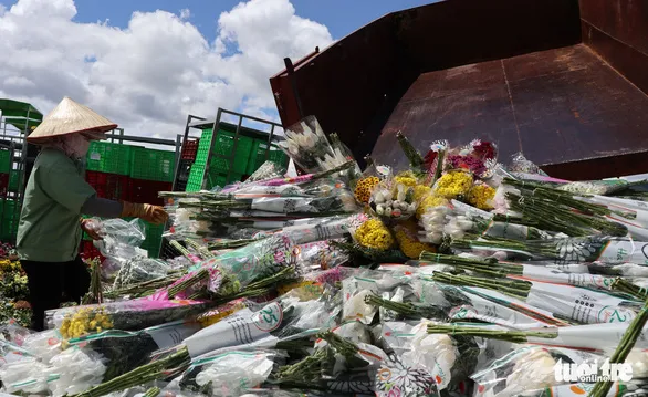 Vướng quy định mới, hoa Đà Lạt xuất khẩu phải xay làm phân ảnh 2