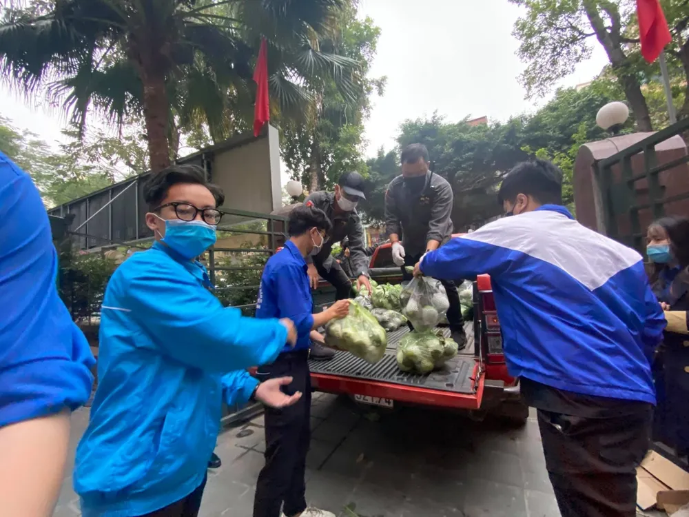 Quy định chống dịch "quá tay" làm đứt gãy sản xuất và lưu thông nông sản