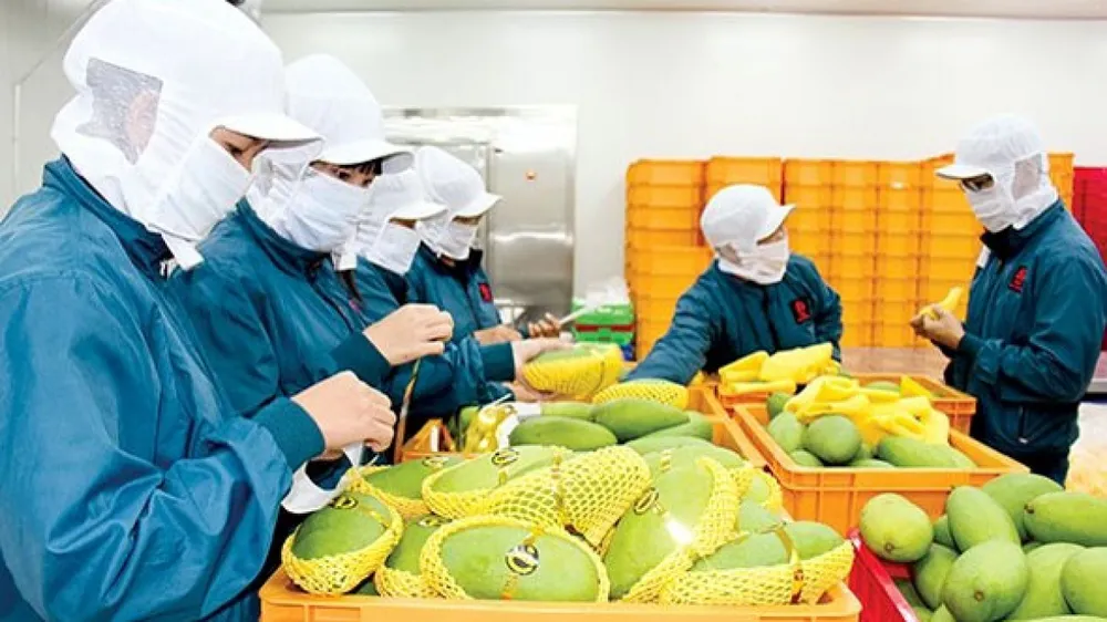 Các sản phẩm thế mạnh của Việt Nam phát huy khả năng chinh phục thị trường EU.