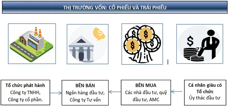 Tập đoàn Trí Việt (TVC) tạm ứng cổ tức 8% tiền mặt ảnh 1