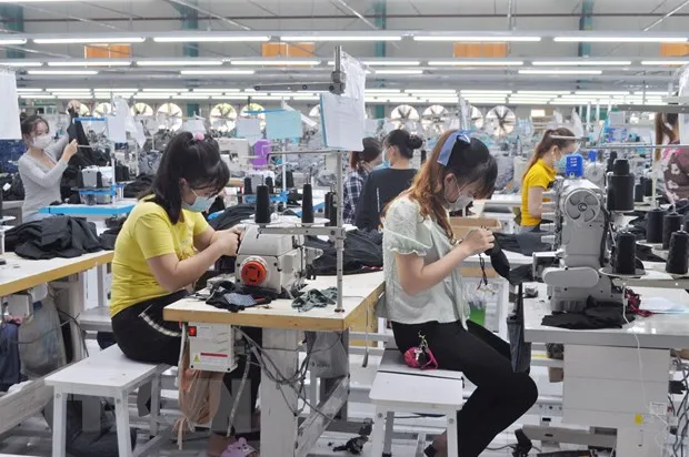 Doanh nghiep det may kien nghi cac giai phap go kho truoc dai dich hinh anh 2