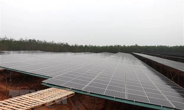 Linh vuc dau tu nao dang hap dan cac doanh nghiep Viet Nam? hinh anh 2