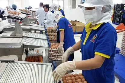 Chính phủ đã có những khởi động phục hồi nền kinh tế ảnh 2