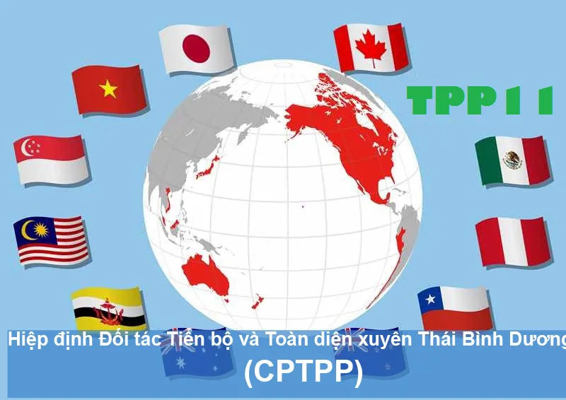 Xuất siêu sang thị trường CPTPP