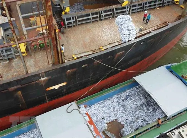 Nganh lua gao chua go duoc 'nut that tin dung' nhu ky vong hinh anh 2