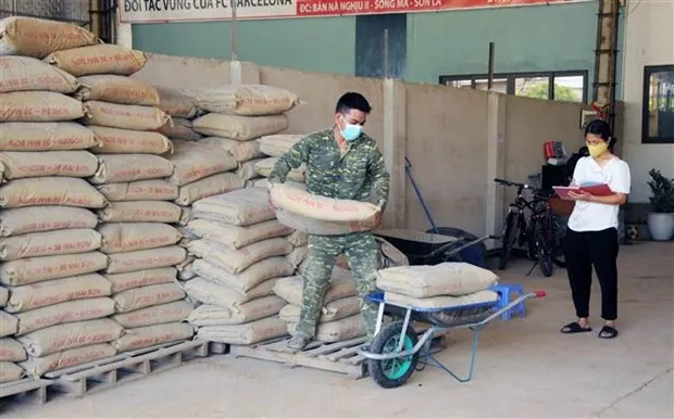 Ximăng là ngành chịu ảnh hưởng trực tiếp của việc tăng giá than. (Ảnh: TTXVN)