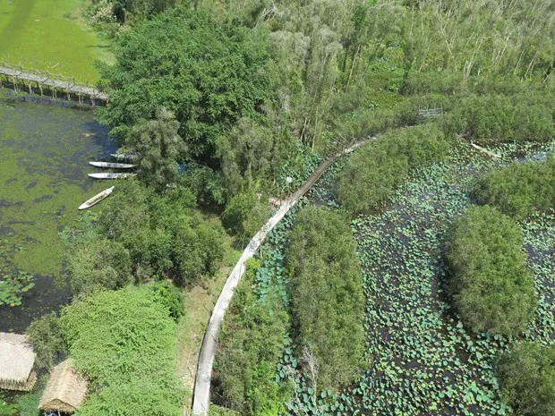 Mo cua cho du lich phai linh hoat, phoi hop nhip nhang cong-tu hinh anh 2