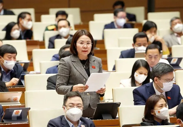 Dai bieu Quoc hoi lo ngai bong bong chung khoan, bat dong san hinh anh 1