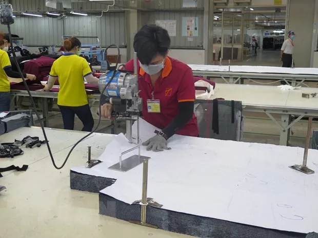 Giup doanh nghiep nhanh chong vuot qua khung hoang dai dich COVID-19 hinh anh 2