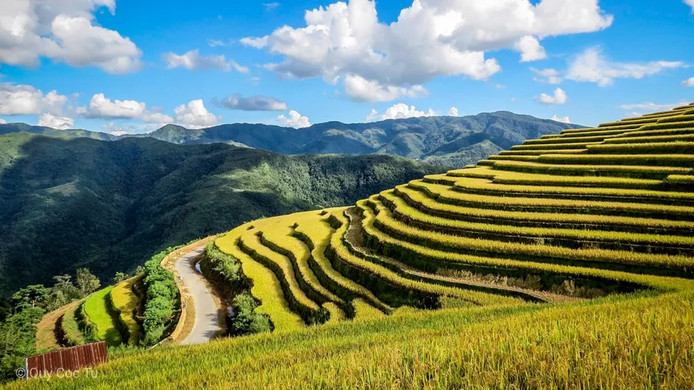 Những khoảnh khắc du lịch đáng nhớ của ban giám khảo cuộc thi “My Vinpearl – My Moment” ảnh 3