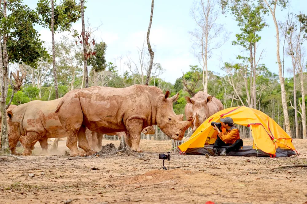 Những khoảnh khắc du lịch đáng nhớ của ban giám khảo cuộc thi “My Vinpearl – My Moment” ảnh 4