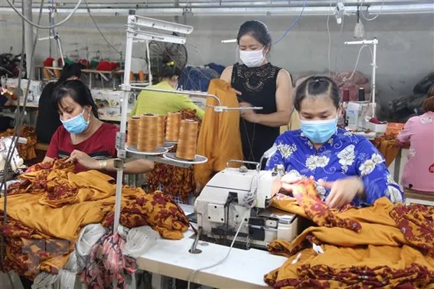 Chinh sach tai khoa trong boi canh dich: Can bat trung, dung doi tuong hinh anh 3