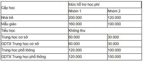 TP.HCM: Đề xuất miễn học phí công lập, hỗ trợ học phí tư thục trong học kỳ 2 - Ảnh 2.