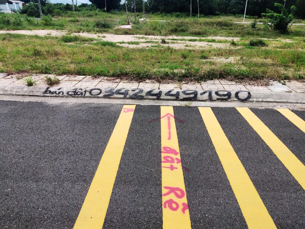 Tung tin 'đại bàng chúa làm tổ' để kích giá đất ở Nha Trang - ảnh 5