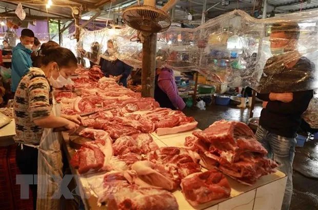 Dong luc tang truong cua doanh nghiep thuc pham do uong hinh anh 2