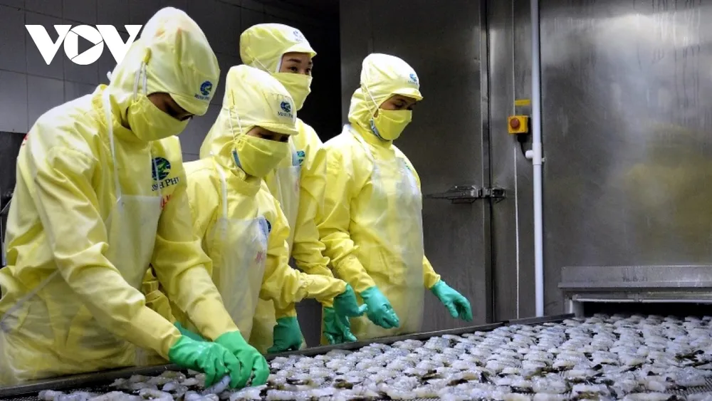 Xuất nhập khẩu 2021 nhiều điểm sáng từ tận dụng FTA ảnh 1