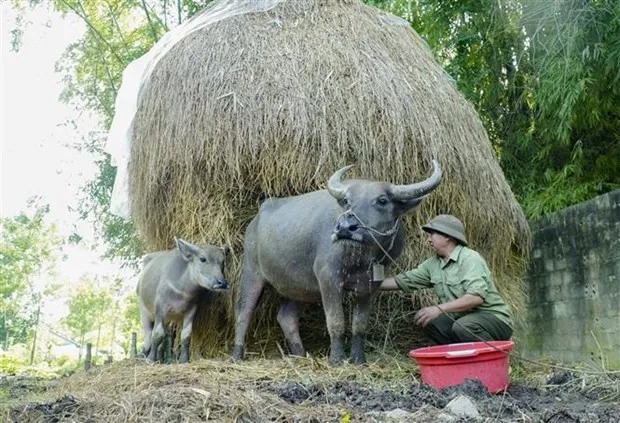 Day manh tai chinh 4.0, ho tro nguoi dan tiep can tin dung an toan hinh anh 2
