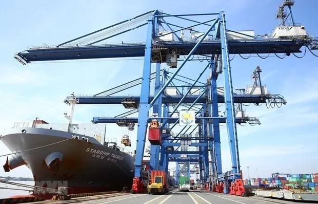 Doanh nghiep Viet don toan luc thay doi de vuot “bao COVID-19” hinh anh 1