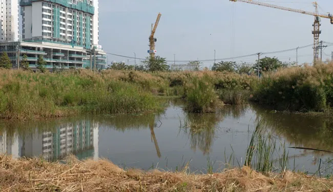 Tân Hoàng Minh bỏ cọc có tạo hiện tượng domino về giá cho thị trường bất động sản?