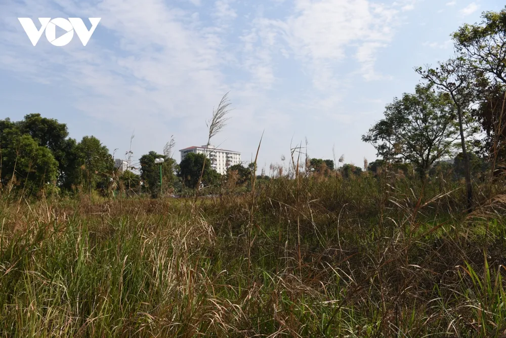 Công viên ở Hà Nội bị bỏ hoang, xuống cấp biến thành vườn rau giữa khu đô thị Việt Hưng ảnh 9