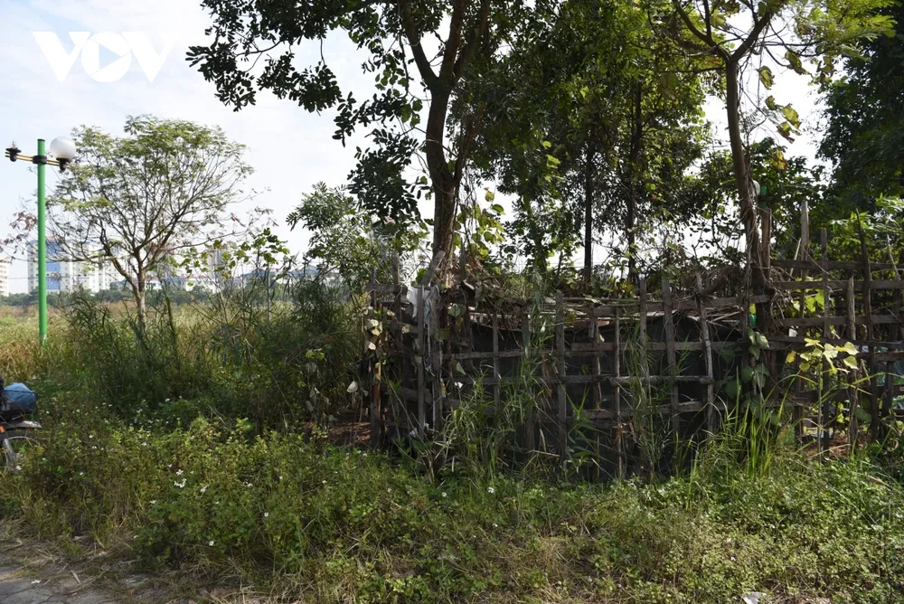 Công viên ở Hà Nội bị bỏ hoang, xuống cấp biến thành vườn rau giữa khu đô thị Việt Hưng ảnh 13