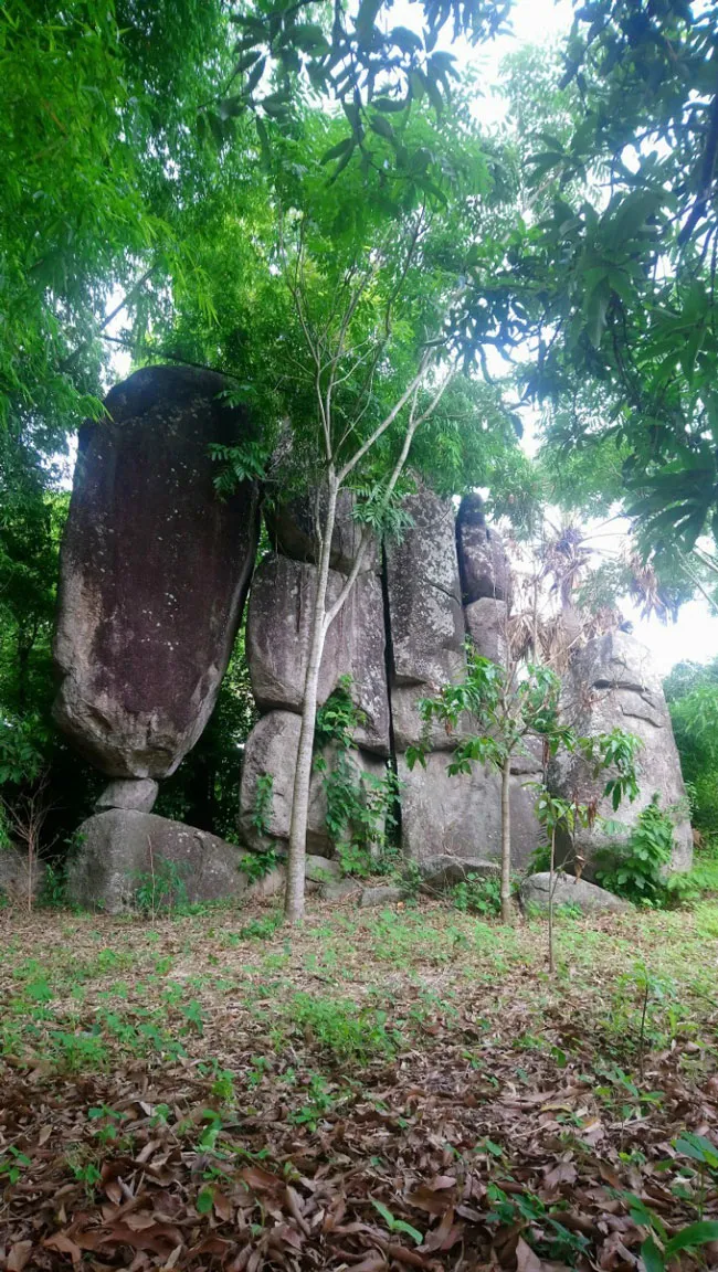 Xuân về trên đỉnh Phù Vân miền Tây ảnh 5