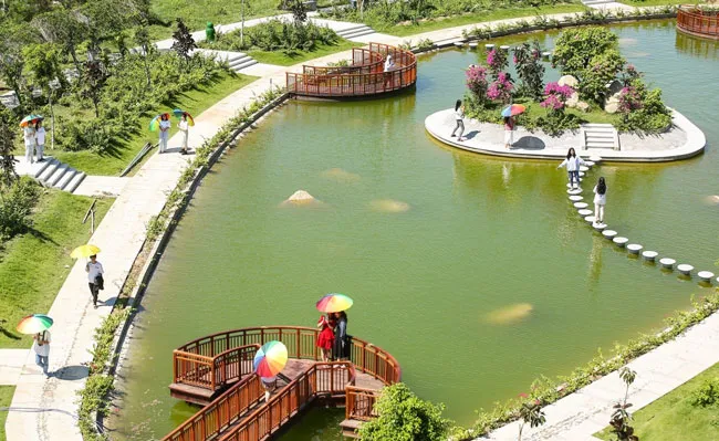 Xuân về trên đỉnh Phù Vân miền Tây ảnh 1