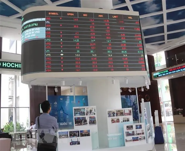 Sau bien dong manh, chung khoan duoc du bao ra sao trong nam Nham Dan hinh anh 2