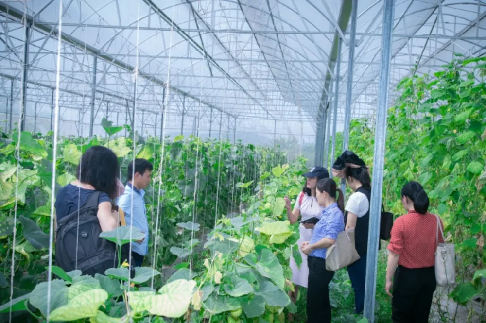 Làm gì để nông nghiệp Việt Nam không còn “3 mù”? ảnh 2