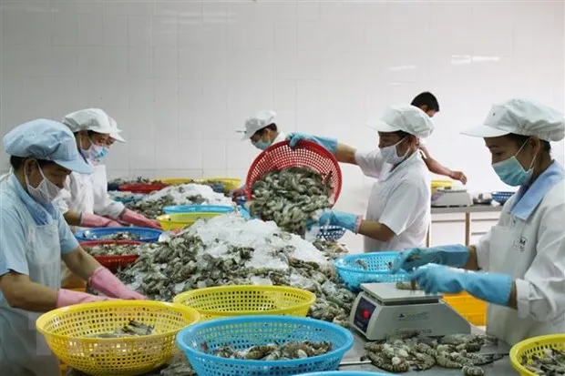 Tiep da phat trien, nganh tom Viet don song co hoi trong nam 2022 hinh anh 2