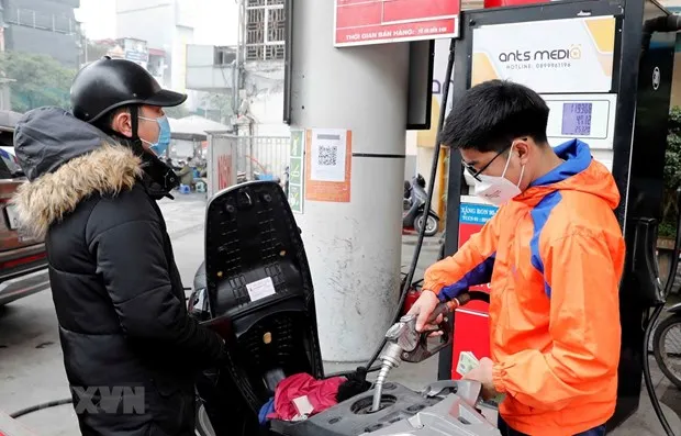 Nhung giai phap nao de dieu hanh gia xang dau phu hop hon? hinh anh 2