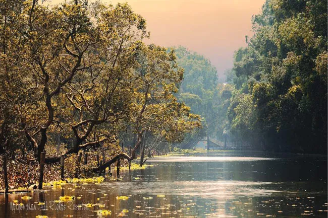 Mở cửa đón “sóng” du lịch an toàn ảnh 4