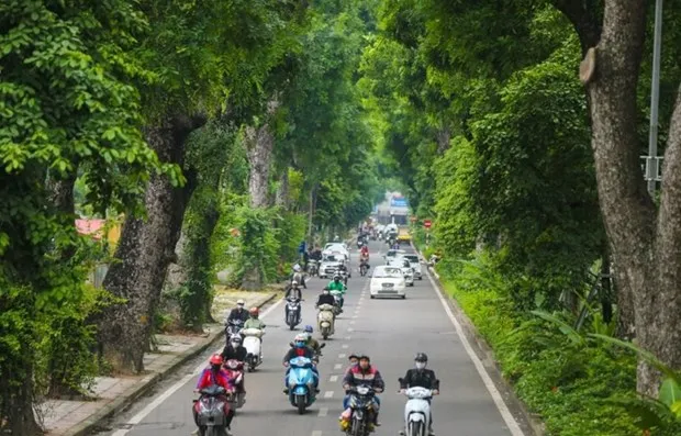 Phat trien cay xanh do thi: Can co chinh sach thu hut cac nguon dau tu hinh anh 1