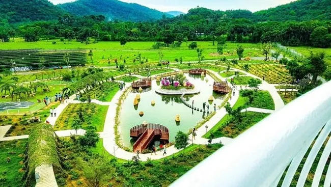 Mặc sóng cả, vẫn vững tay chèo ảnh 3