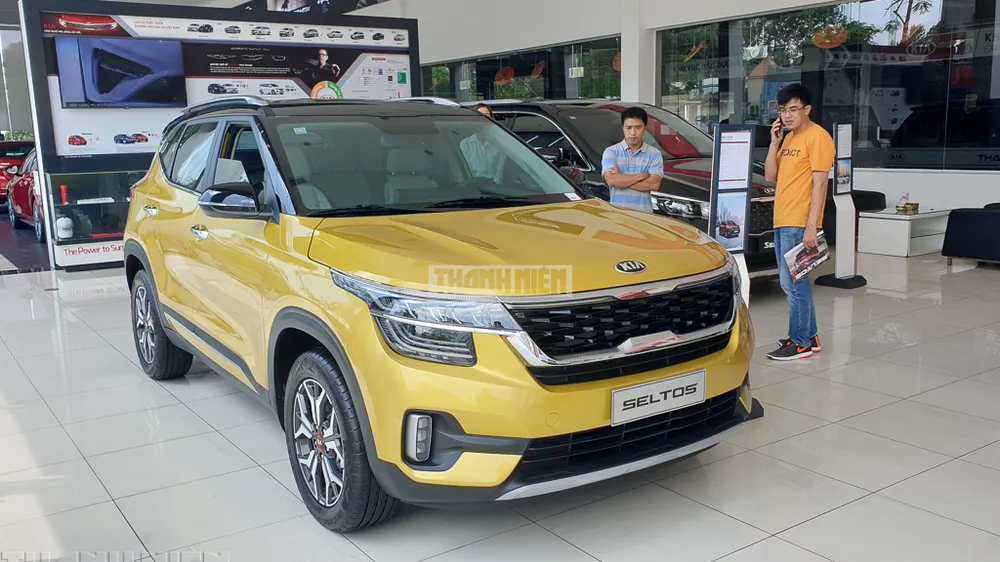 ‘Bão’ tăng giá ô tô đổ bộ thị trường Việt Nam - ảnh 6