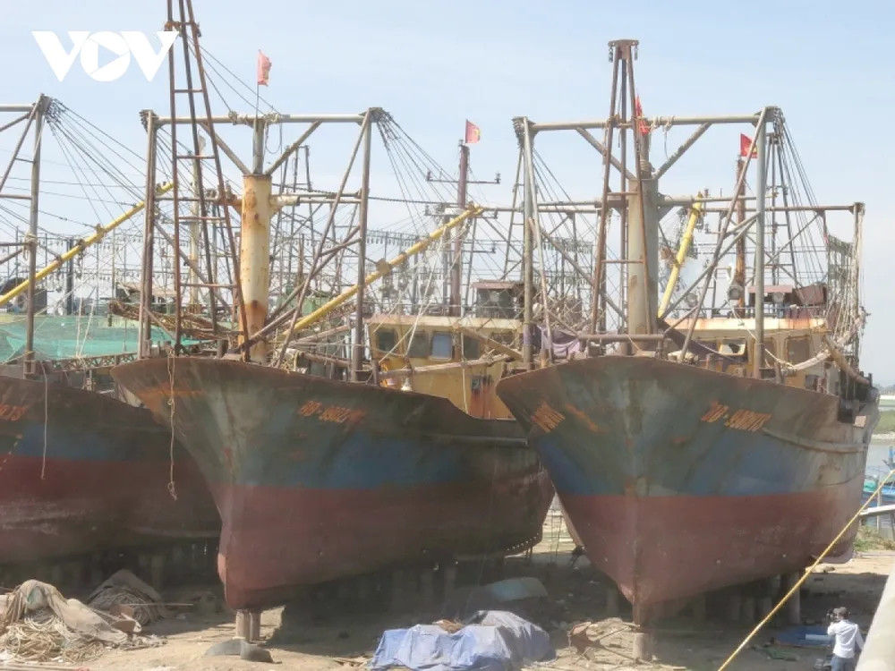 Cần sớm có chính sách “cứu tàu 67” ảnh 1